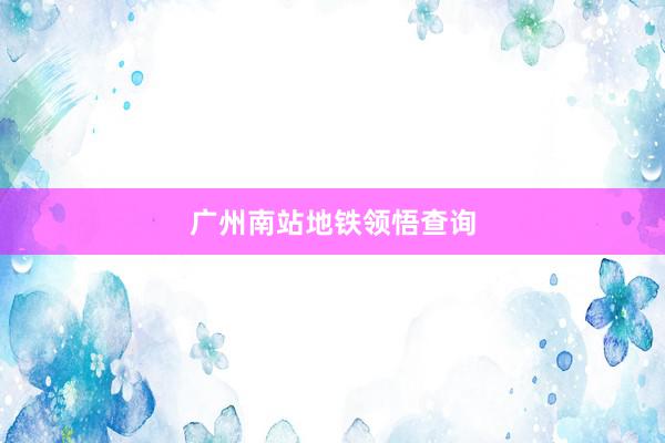 广州南站地铁领悟查询